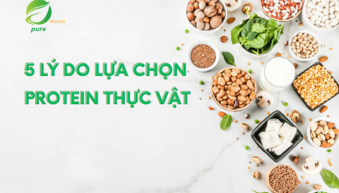 5 lý do lựa chọn protein thực vật trong dinh dưỡng hàng ngày