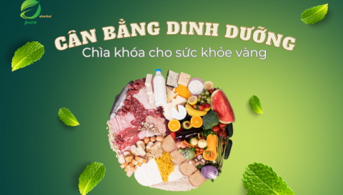 Cân bằng dinh dưỡng – Chìa khóa cho sức khỏe vàng
