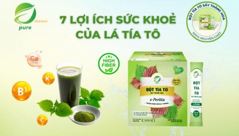 7 Lợi ích sức khoẻ của lá tía tô mà bạn nên biết