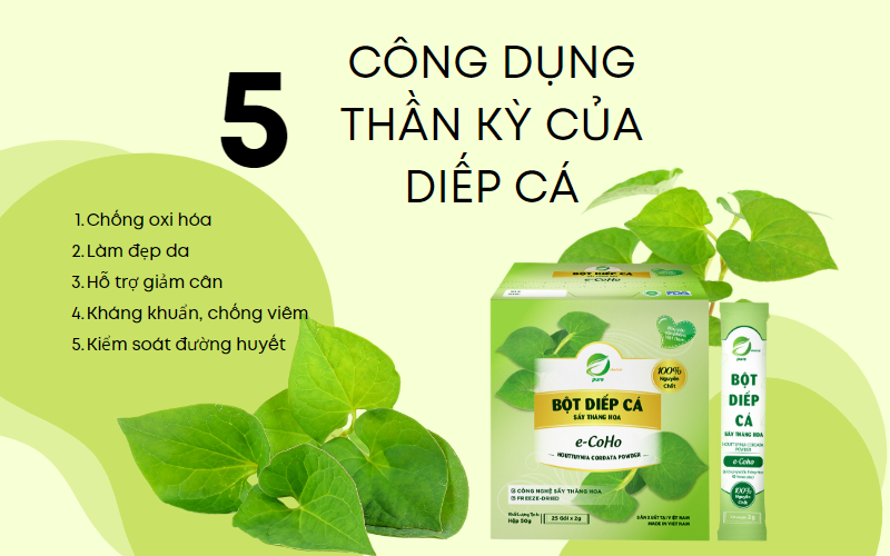 4. Công dụng làm đẹp của bột rau diếp cá