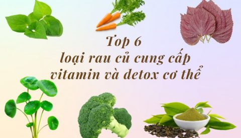 Khám phá TOP 6 loại rau củ cung cấp nhiều vitamin và detox cơ thể