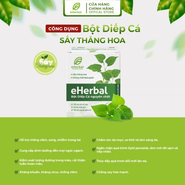 Bột Diếp cá sấy thăng hoa e-Coho - Hình ảnh 2