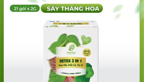 Giải nhiệt cho cả gia đình, chỉ mất 1 phút với detox 3in1 nhà eHerbal