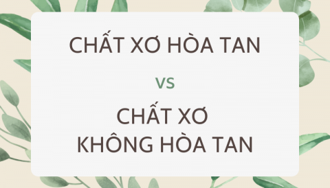 Sự khác biệt giữa chất xơ hòa tan và chất xơ không hòa tan