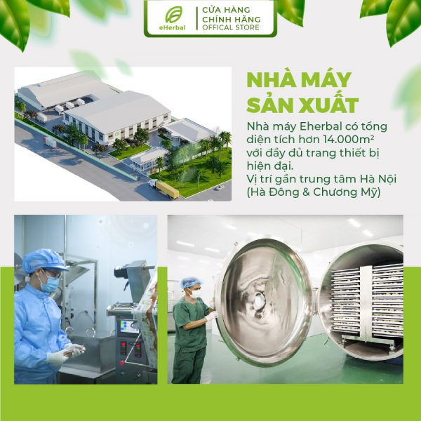 Bột Diếp cá mật ong eHerbal sấy thăng hoa - Hình ảnh 8