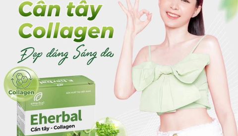 BỘT CẦN TÂY COLLAGEN SẤY THĂNG HOA – HỘP 45(3g x 15 gói)