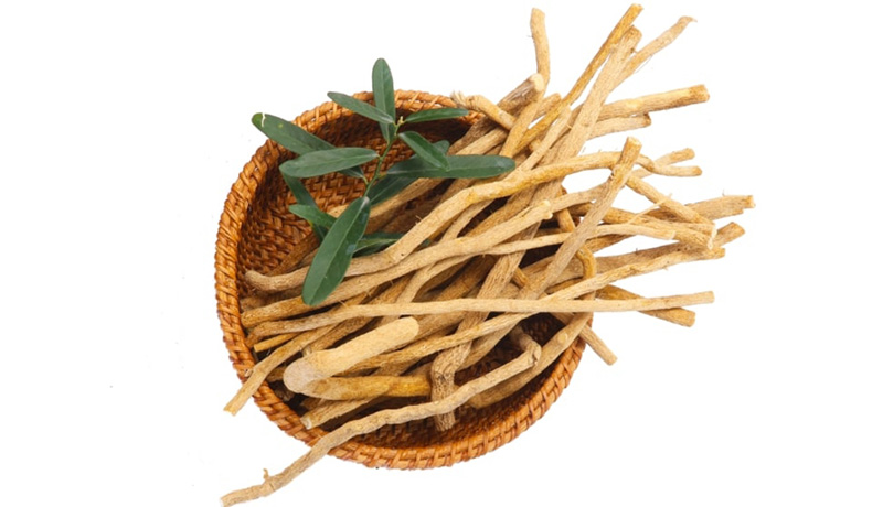 cao xáo tam phân trị bệnh gì