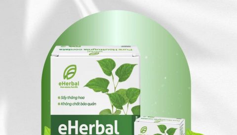 Bật mí 3 cách giúp da đẹp mịn màng cùng Bột Diếp Cá Sấy Thăng Hoa eHerbal!