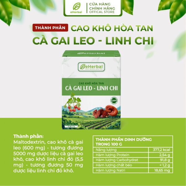 Cao khô hòa tan Cà gai leo - Linh chi - Hình ảnh 3