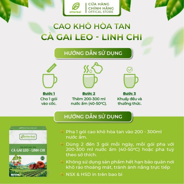 Cao khô hòa tan Cà gai leo - Linh chi - Hình ảnh 4