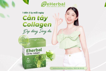 BÍ KÍP MỖI NGÀY CÙNG CẦN TÂY COLLAGEN nhà eHerbal ✨ Từ thiên nhiên cho lối sống khỏe đẹp chủ động ✨