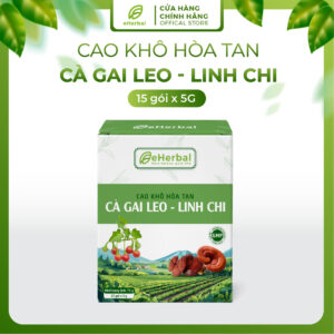 Cao khô hòa tan Cà gai leo linh chi