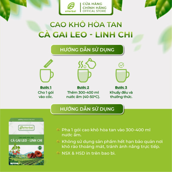 Cao khô hòa tan Cà gai leo linh chi - Ảnh 2