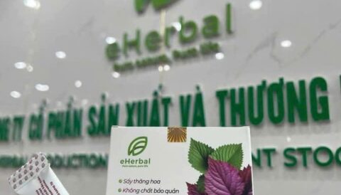 BỘT TÍA TÔ NGUYÊN CHẤT eHERBAL – TINH HOA LÁ VIỆT, CHO NGÀY THÊM KHỎE & ĐẸP