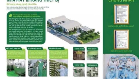 eHerbal – TINH HOA TỰ NHIÊN CHO CUỘC SỐNG KHỎE AN LÀNH