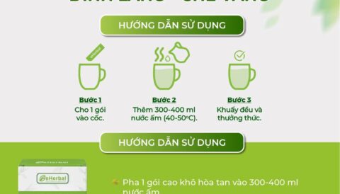 Đinh Lăng – Chè Vằng eHerbal, chọn lành cho cuộc sống khỏe.