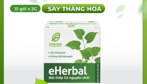 Giải pháp thanh mát cho lối sống hiện đại