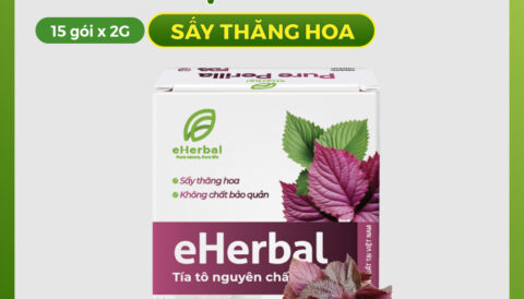 BỘT TÍA TÔ NGUYÊN CHẤT eHERBAL – GIẢI PHÁP THIÊN NHIÊN CHO NHỮNG NGÀY THỜI TIẾT THẤT THƯỜNG