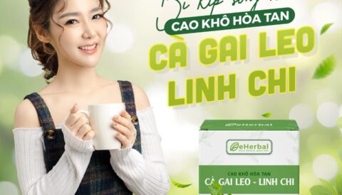 Bí kíp sống khỏe mỗi ngày – Cao khô hòa tan Cà Gai Leo Linh Chi eHerbal