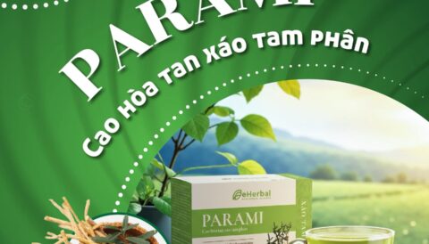 CAO HÒA TAN XÁO TAM PHÂN PARAMI – TINH HOA THIÊN NHIÊN CHO SỨC KHỎE MỖI NGÀY