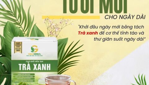 CAO KHÔ HÒA TAN TRÀ XANH eHERBAL – NĂNG LƯỢNG TƯƠI MỚI MỖI NGÀY