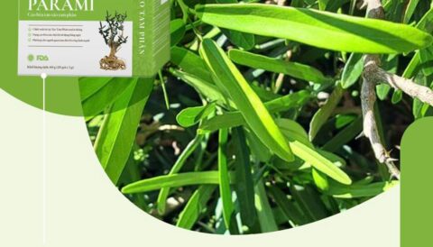 Bắt đầu ngày mới với Parami – Xáo Tam Phân tinh hoa từ thiên nhiên.