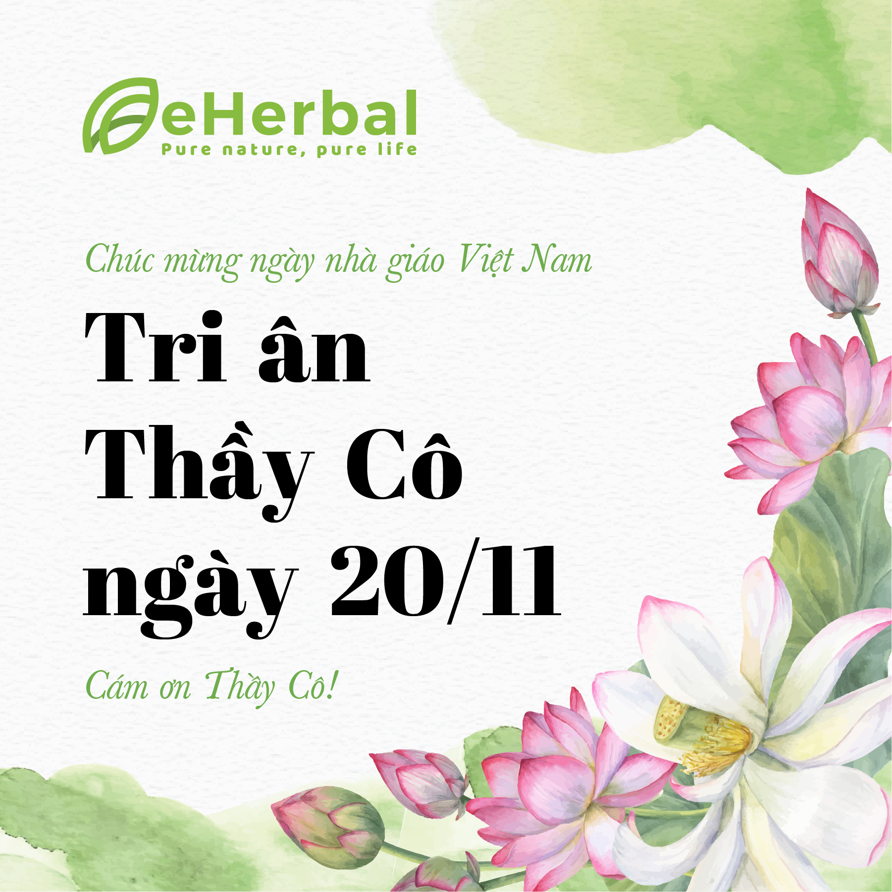 ✨ eHerbal tri ân Thầy Cô – những người dẫn đường làm đẹp tương lai ✨