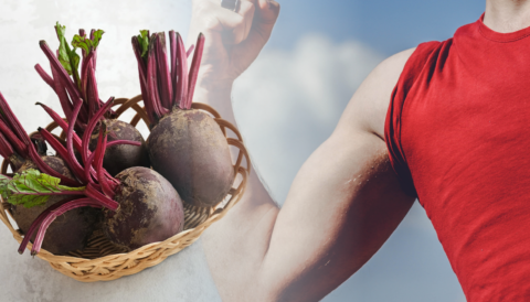 CỦ DỀN VÀ KHẢ NĂNG HỖ TRỢ PHỤC HỒI THỂ CHẤT Ở NAM GIỚI