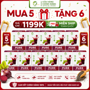 Bột củ dền hạt chia – Hộp 60g (4g/1 gói)