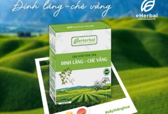 🌿 Đinh lăng – chè vằng sấy thăng hoa 🍀