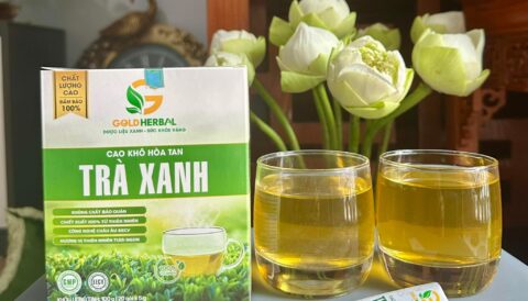 Ai yêu trà xanh mà ngại đun nấu thì đây đúng kiểu “pha là có”