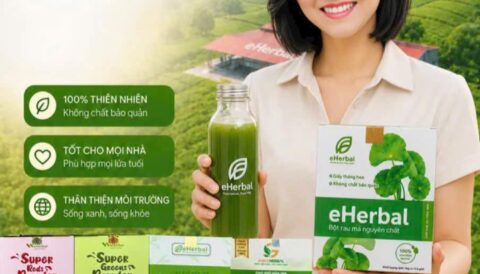 Hè này khách nhà em mê sấy thăng hoa eHerbal vì quá tiện