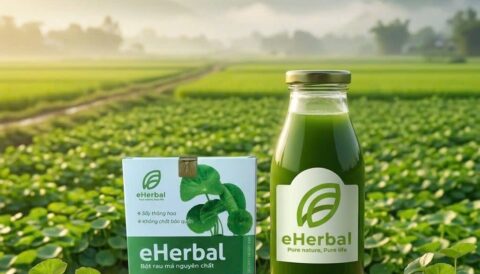 🍀BỘT RAU MÁ eHerbal NGUYÊN CHẤT – TƯƠI MÁT CHO NGÀY HÈ 🍀
