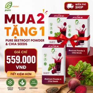 Bột củ dền hạt chia – Hộp 60g (4g/1 gói)