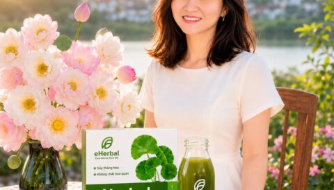 Sen nở tháng sáu, mang theo những niềm vui thật giản dị.