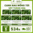 Giỏ hàng
