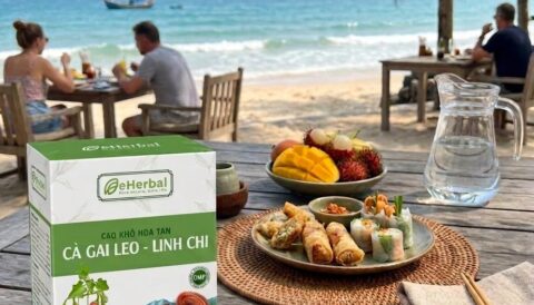 Cà Gai Leo Linh Chi eHerbal tiện lợi, đồng hành cùng bạn trong mọi chuyến đi.