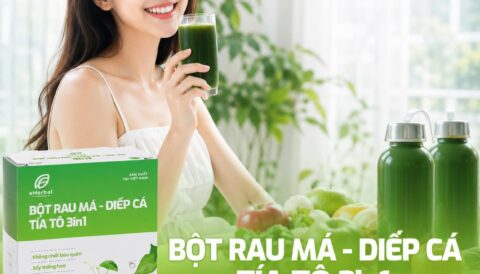 Không phải ngày nào cũng ăn đủ rau. Nhưng bạn có thể bắt đầu bằng một ly xanh.