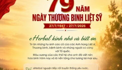 🇻🇳 ĐỜI ĐỜI NHỚ ƠN CÁC ANH HÙNG LIỆT SĨ! 🇻🇳