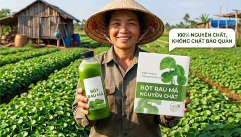 🌿 Bột Rau Má Nguyên Chất eHerbal – Thêm sắc xanh cho mỗi ngày.