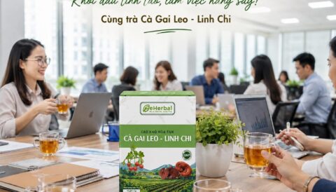 🌿 THỨ 2 – BẮT ĐẦU TUẦN MỚI CÙNG MỘT TÁCH TRÀ