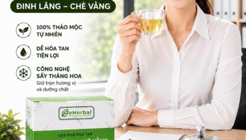 🌿 KHỞI ĐẦU TUẦN MỚI ĐẦY NĂNG LƯỢNG CÙNG ĐINH LĂNG – CHÈ VẰNG 🌿