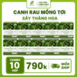 Giỏ hàng