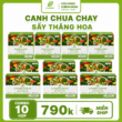 Giỏ hàng