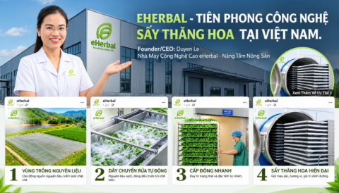 🌿 eHERBAL – MỘT HÀNH TRÌNH ĐƯỢC XÂY DỰNG BẰNG TRUNG THỰC, SỰ TỬ TẾ VÀ TÂM HUYẾT