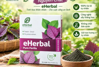 🌿 BỘT TÍA TÔ NGUYÊN CHẤT eHerbal – Gọn nhẹ, tiện lợi mỗi ngày 🌿