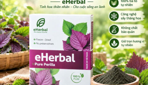 🌿 BỘT TÍA TÔ NGUYÊN CHẤT eHerbal – Gọn nhẹ, tiện lợi mỗi ngày 🌿