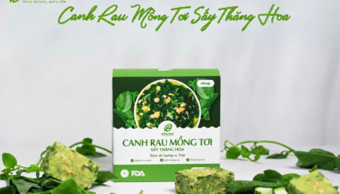 🌿 CANH RAU MỒNG TƠI eHERBAL – NGON NHƯ CANH NHÀ
