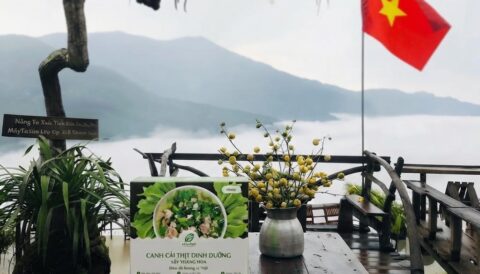 🥬 CANH CẢI THỊT SẤY THĂNG HOA eHerbal 🍲