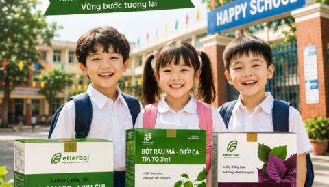 🌿 CHÀO MỪNG NĂM HỌC MỚI – KHỞI ĐẦU XANH CÙNG eHERBAL 🎒📚